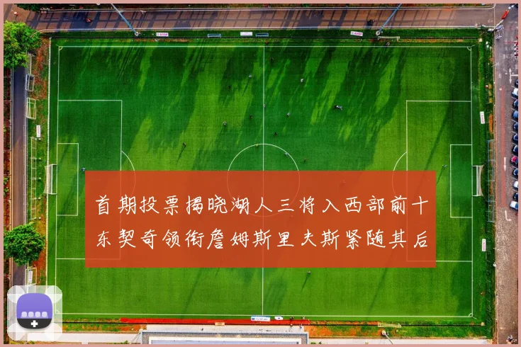 首期投票揭晓湖人三将入西部前十东契奇领衔詹姆斯里夫斯紧随其后