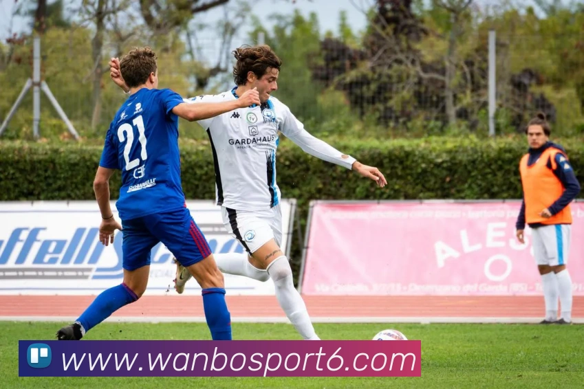 万博体育APP 封面图